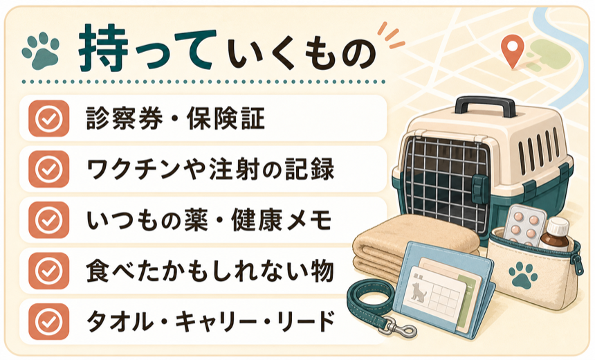 持っていくもの。診察券・保険証、ワクチンや注射の記録、いつもの薬・健康メモ、食べたかもしれない物、タオル・キャリー・リード。